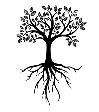 Tree silhouette with roots, real hand drawing. Vector Illustration