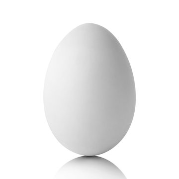Single  white egg isolated on white and shadow with clipping path