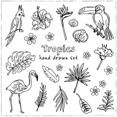 Hand drawn doodle tropics set © fafarumba