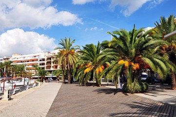 Fototapeta premium Hafen von Alcudia