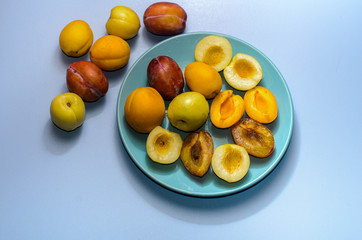 Summer fruits: apples, pears, apricots, plums on a blue plate