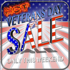 Veterans Day, Hot Sale, 3D Illustration, Honoring all who served, American holiday template.