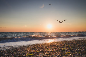Beautiful sunset on the summer sea