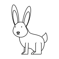 flat line uncolored  wild rabbit  over white background  vector illustration