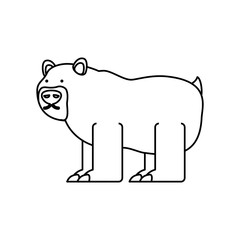 flat line uncolored   bear over white background  vector illustration