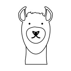 flat line uncolored  llama face  over white background  vector illustration