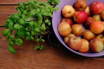 apples and basil on a table