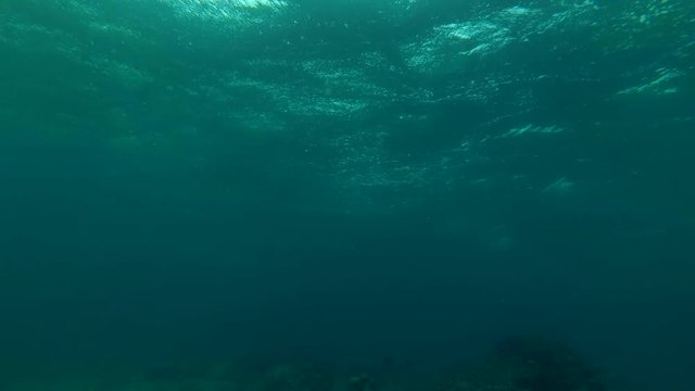 Storm wave in shallow water (view from under water) 
