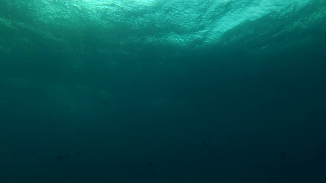 Storm wave (view from under water) 
