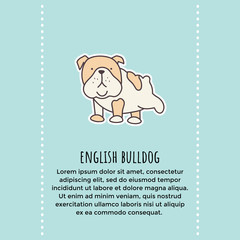 bulldog banner