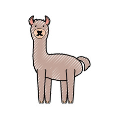 flat line colored  llama doodle  over white background  vector illustration