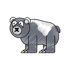 flat line colored  bear doodle  over white background  vector illustration