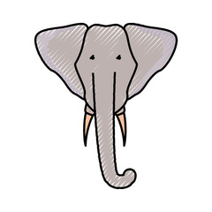 flat line  colored elephant face doodle over white background  vector illustration