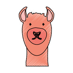 flat line  colored llama face  doodle over white background  vector illustration