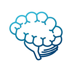 Human brain isolated icon vector illustration graphic design