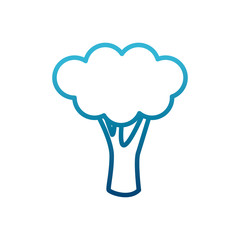 Broccoli fresh vegetable icon vector illustration graphic design