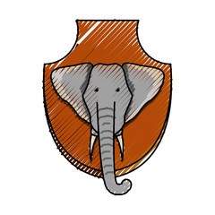 flat line colored  animal trophy  with elephant over white background  vector illustration