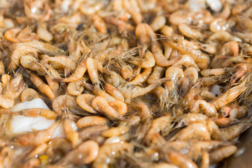 Plenty of small boiled shrimps, closeup