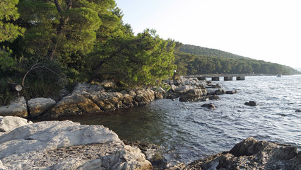Fototapeta na wymiar typical landscape in croatia on the marjan