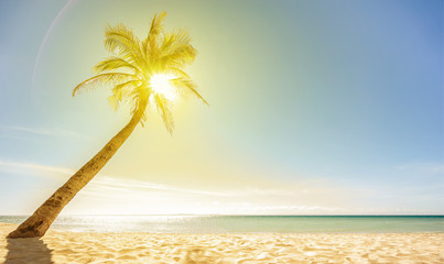 Beautiful beach, sun and palm. Selective focus. Wallpaper.
