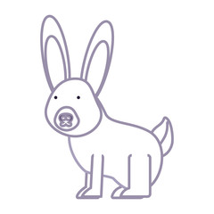flat line colored  wild rabbit  over white background  vector illustration