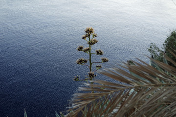amazing natural beach in croatian town dubrovnik