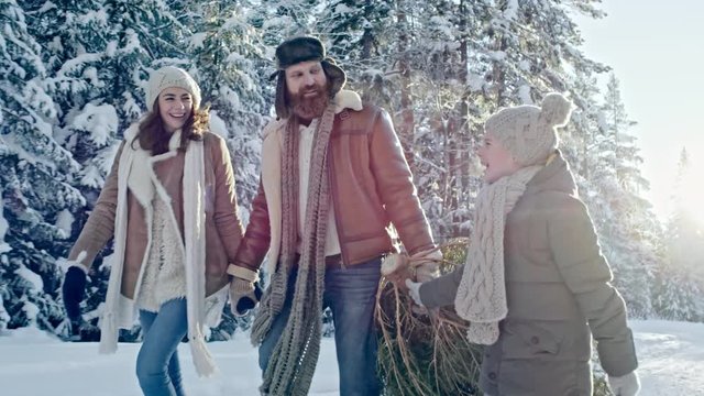 Tracking shot with slow motion of bearded man and cheerful woman holding hands and chatting with cute little while carrying Christmas tree through snowy footpath in winter forest