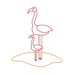 flat line  colored flemish over white background  vector illustration