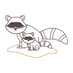 flat line  colored raccoon over white background  vector illustration