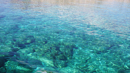 detail shot from the deep blue sea