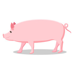Pink Pig with Curly Tail Isolated Illustration