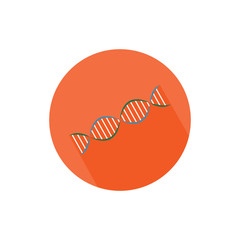 DNA chain round icon long shadow vector