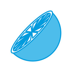 Orange half cut icon vector illustration graphic design