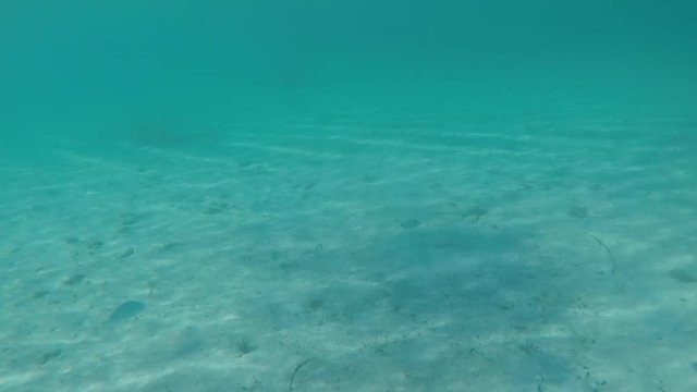 Snorkeling in San Giovanni di Sinis 