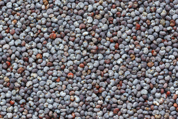 abstract background of poppy seeds