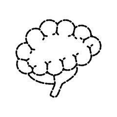 Human brain isolated icon vector illustration graphic design