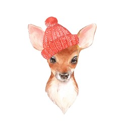 Baby Deer, hat. Hand drawn cute fawn. Watercolor illustration