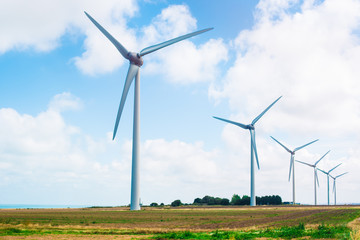 Fototapeta premium windmill in france