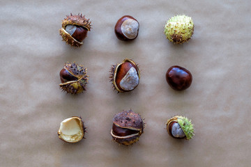 Flat lay square geometric composition for autumn holidays Thanksgiving Day greeting cards with chestnuts on the kraft paper background. Top view.
