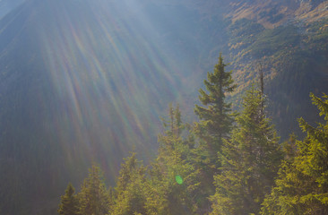 Giant Mountains National Park (hory Krkonose), Czech Republic at sunny day in the autumn