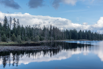 The Silberteich lake  in Harz, Germany