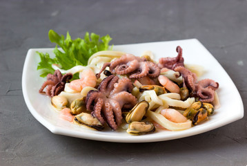 Green fresh lettuce with squid, octopus, shrimp's tails, mussels , on the white plate.