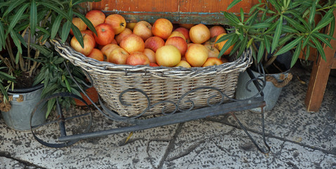 market with local food in split
