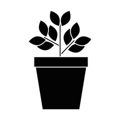 house plant in pot vector illustration design