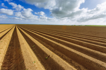 Plowed agricultural fields prepared for planting crops in Normandy, France. Countryside landscape with cloudy sky, farmlands in spring. Environment friendly farming and industrial agriculture concept.