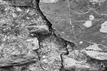 Stone Wall Rustic Detail