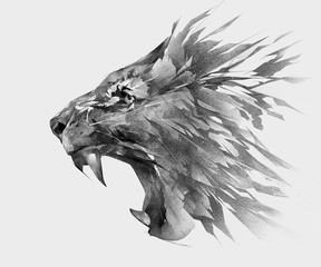 monochrome isolated stylized drawing of lion face side view