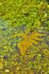 Obraz premium abstract