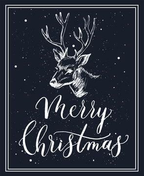 Merry Christmas-  calligraphy and lettering card with a deer  vector.