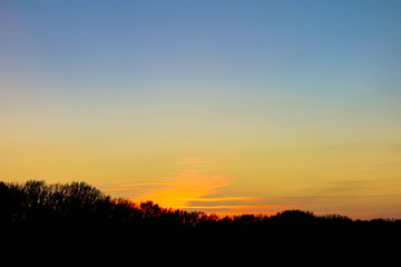 sunset against  the forest